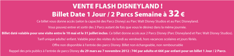 Vente flash Disney Land