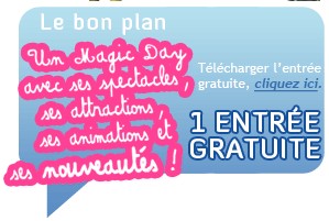 une entree magic park land adulte achetee une entree gratuite enfant