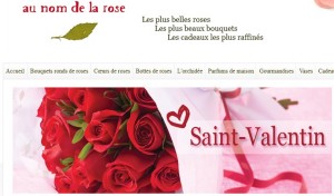 Saint valentin Fleurs Au nom de la rose