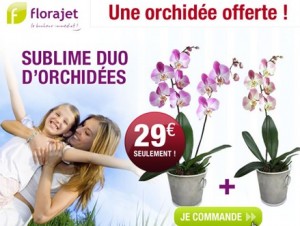 1 Orchidée achetée = 1 Orchidée Offerte Florajet 