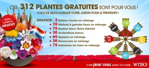 Willemse 312 plantes GRATUITES