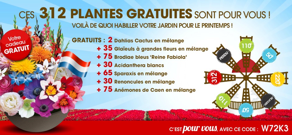 Plantes gratuites Willemse - code promo