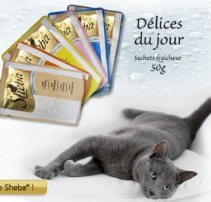 Echantillon gratuit Sheba