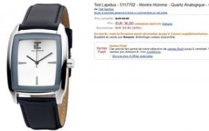 vente flash montre ted lapidus