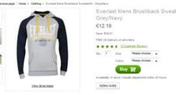 12 euros le sweat à capuche Everlast (livraison gratuite) du L au XXL