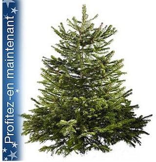 bon plan sapin de Noel 2013 Castorama