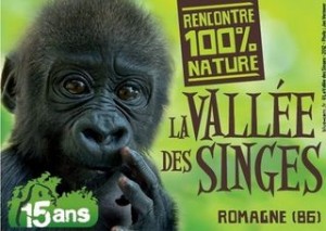 Vallee des Singes billets pas chers