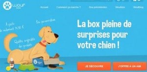 box Woufbox chien a moins de 7 euros