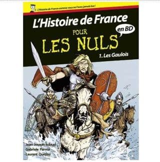 Ebook Histoire de France en BD Pour les Nuls GRATUIT