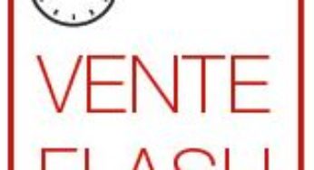 Vente flash Billetterie Parc ! DisneyLand, Puy du Fou, Parc Asterix, Vulcania, Bobbejaanland…