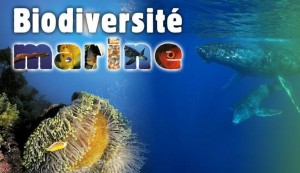 billets aquarium de la porte dorée pas chers