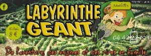 entrées pas chères pour Le Parc des Labyrinthes Géants 