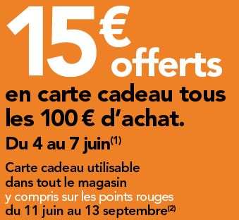 BHV Marais (Rivoli) : 15 euros tous les 100 euros en carte cadeau + raccompagnement gratuit en BMW I3