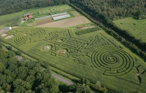 billets pas chers Labyrinthe de Beauregard