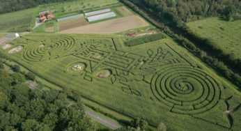 15,5€ les 4 entrées au labyrinthe de Beauregard (labyrinthe végétal géant) au lieu de 26€