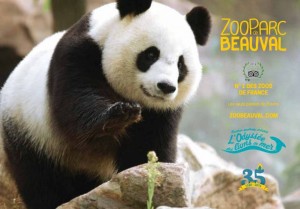 ZooParc Beauval pas cher