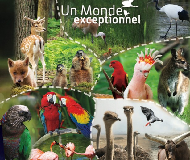 Zoo et Parc Val Herault nature pas chere