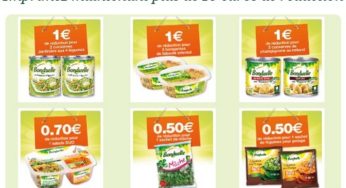 Bon de réduction Bonduelle : 10 euros de remise immédiate sur les conserves, surgelés ou salades (à imprimer)