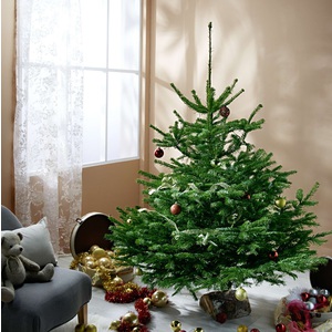 Sapin de Noel pas cher ! Moins de 15 euros chez Intermarché (24,99€ – 10€ en bons d’achat)