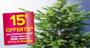 15 euros offerts pour l’achat d’un Sapin de Noel chez Castorama