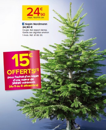 15 Euros Offerts Pour L Achat D Un Sapin De Noel Chez Castorama