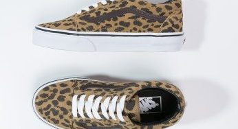 24 euros les chaussures de skate Vans (dessus cuir) au lieu de 80 euros (du 35 au 47) livraison gratuite