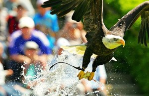 Entree au Parc Animalier de Courzieu