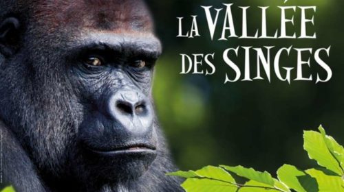 Entrée pour la Vallée des Singes pas chère