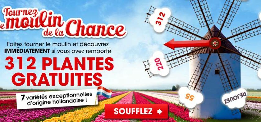 Moulin de la chance Willemse