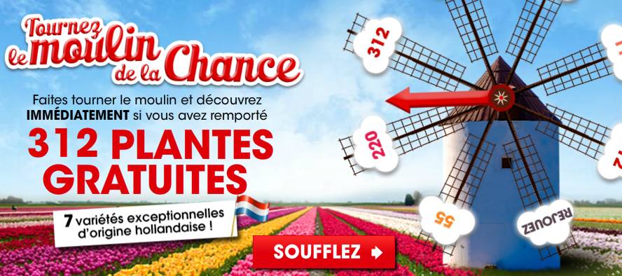 Moulin de la chance : 312 plantes gratuites sur Willemse