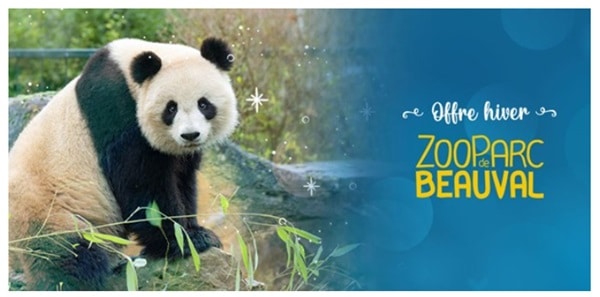 Billet ZooParc Beauval à tarif réduit en vente privée : 29€ tarif unique