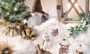 Bon d’achat décorations de Noël