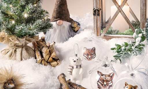 Bon d’achat décorations de Noël : bon d’achat de 30€ pour 15€ (Derly)