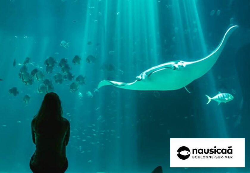 aquarium nausicaá de boulogne sur mer pas cher en vente privée