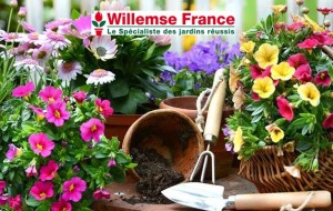 Bon d’achat Willemse GROUPON