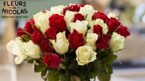 Bouquet moitié prix : 40 roses rouges et blanches à 24,9€ (Les Fleurs de  Nicolas / partout en France)