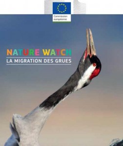 livre gratuit Nature watch 7 -11 ans la migration des grues