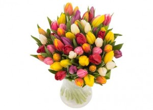 Bouquet de 40 tulipes moins cher 