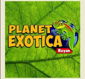 Planet Exotica Royan