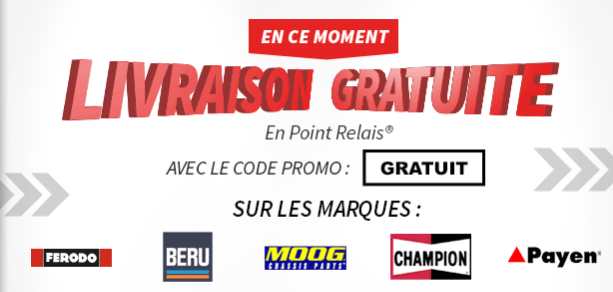 Livraison gratuite sur Mister Auto (marques Champion, Ferodo, Moog…)
