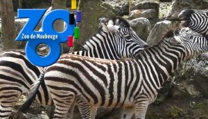 Zoo de Maubeuge moins cher 