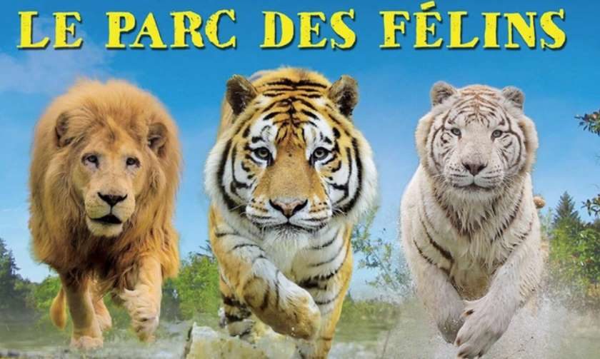 Parc Zoologique des Félins pas cher