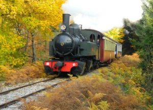 Train à vapeur Velay Express pas cher 