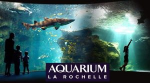 Aquarium La Rochelle pas cher