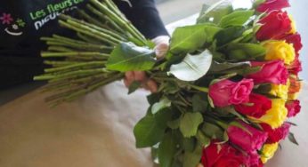 Bon d’achat Les Fleurs de Nicolas d’une valeur de 10€ pour 1€ (livraison partout en France)