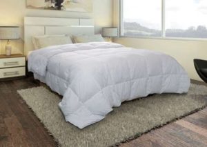 Couette plume d'oie anti-acariens 