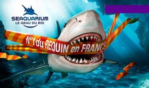 Aquarium Seaquarium du Grau-du-Roi pas cher 