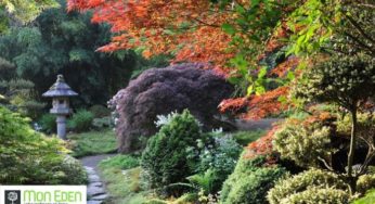 Bon d’achat Mon Eden moitié prix : 15€ pour 30€ d’achat (ou 25€ pour 50€) – jardinerie en ligne