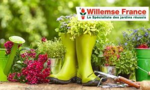 Bon de réduction Willemse 