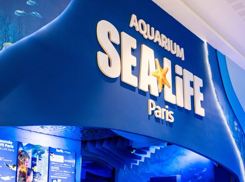 tarif réduit pour l’aquarium sea life paris – val d’europe